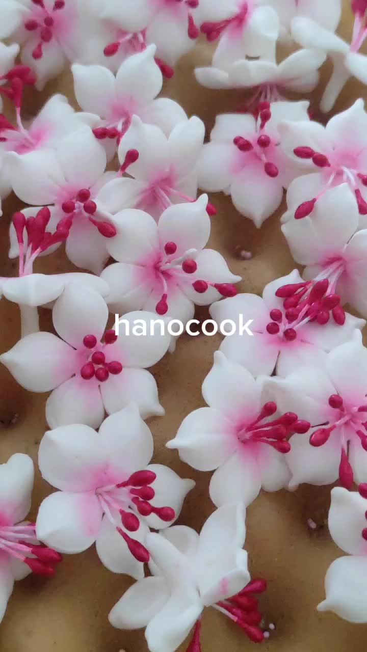 @hanocook