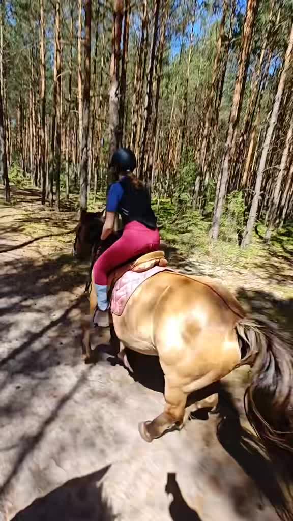 @Stajnia Pod Kasztanem 🇵🇱
