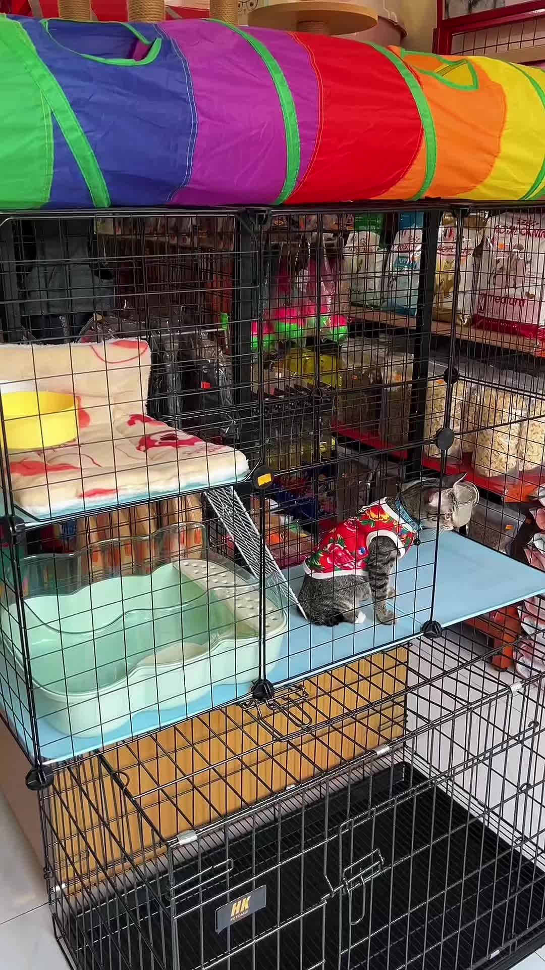 @TiTi Pet