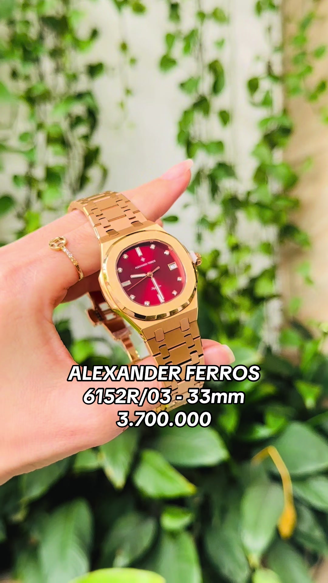 @Alexander Ferros Việt Nam