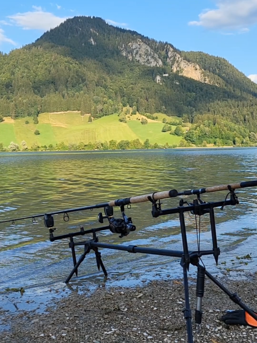 @JayDee🇩🇪