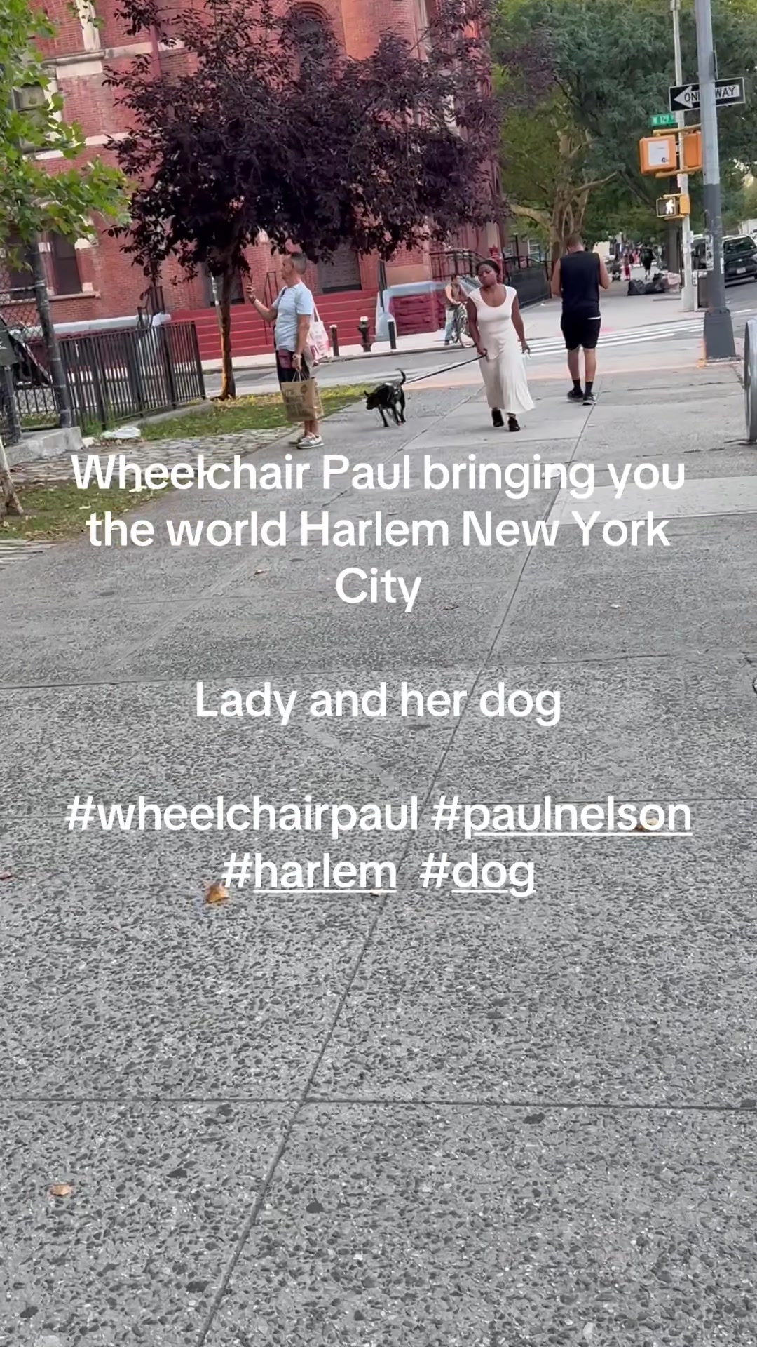 @Paul Nelson