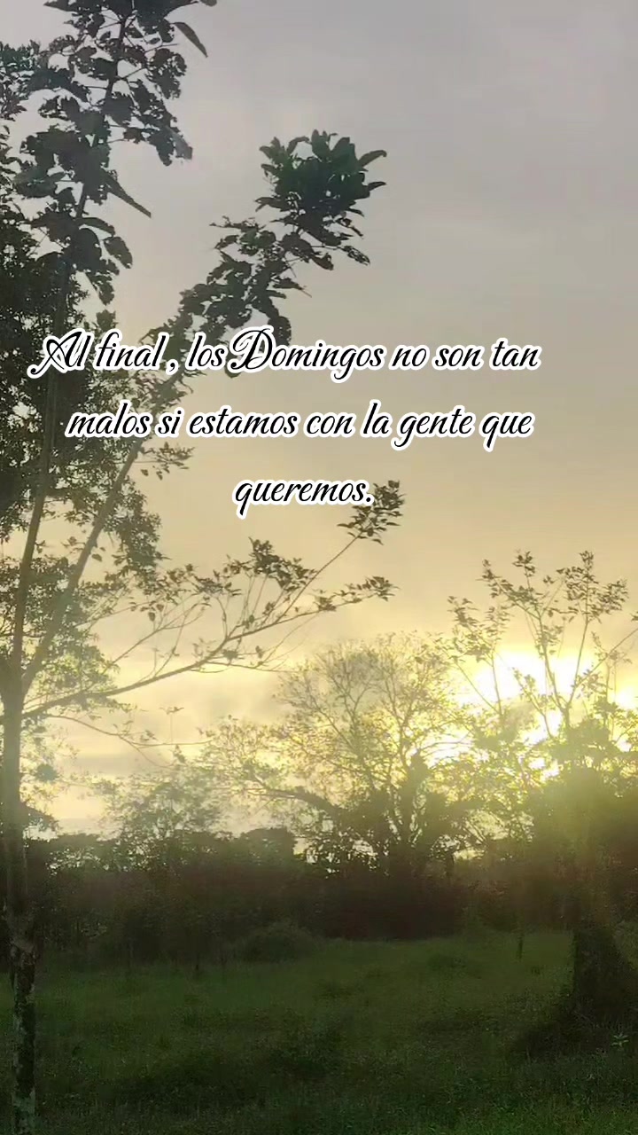 @Mariiapadilla 🌸
