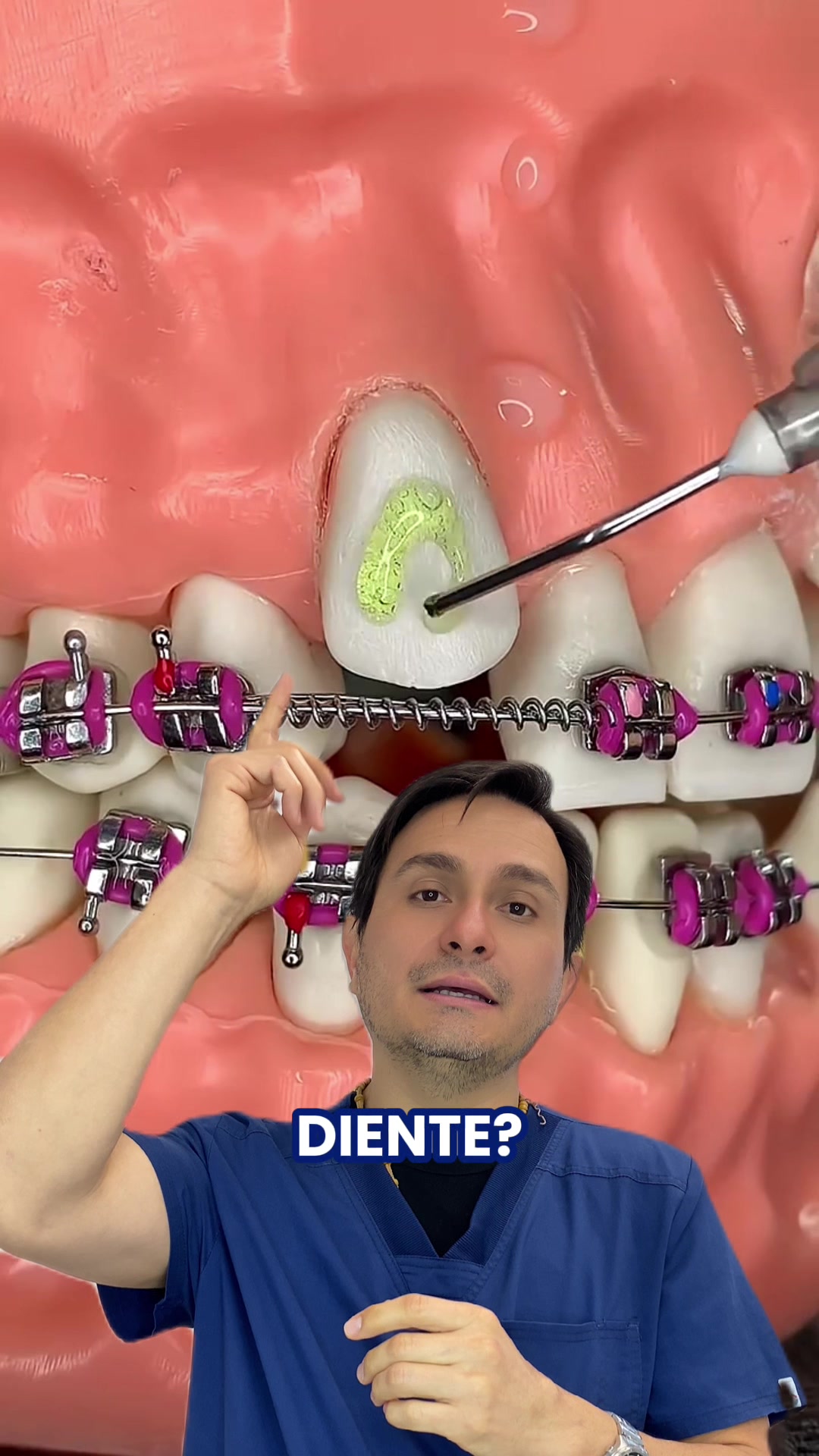 @odontologicals