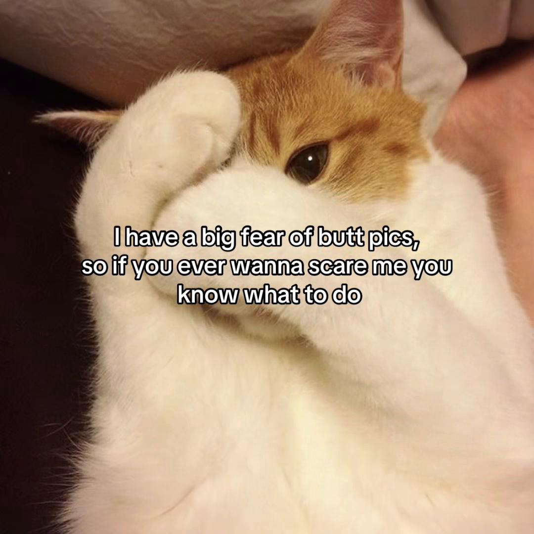@Alice.cattok