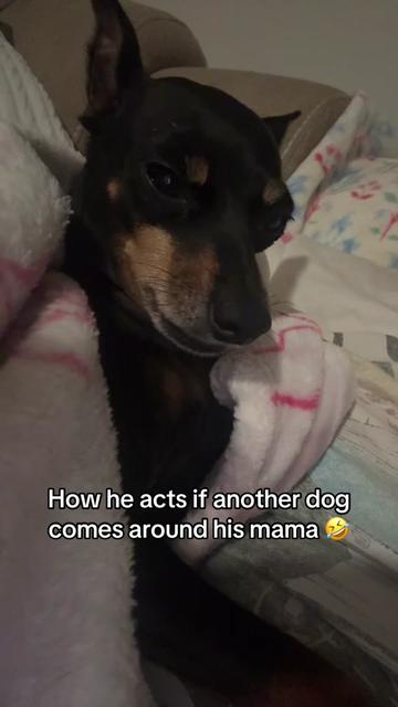 @🎀Mama Shaundra🎀