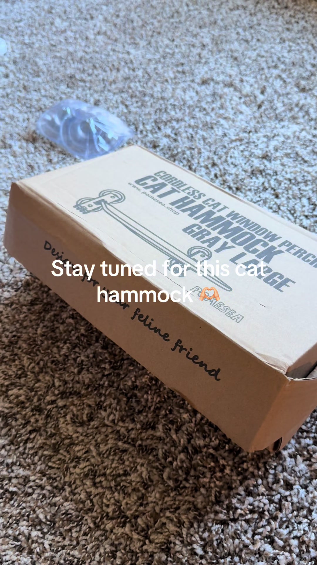 @Sydlikeaustralia