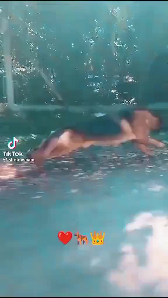 @christianmontorro