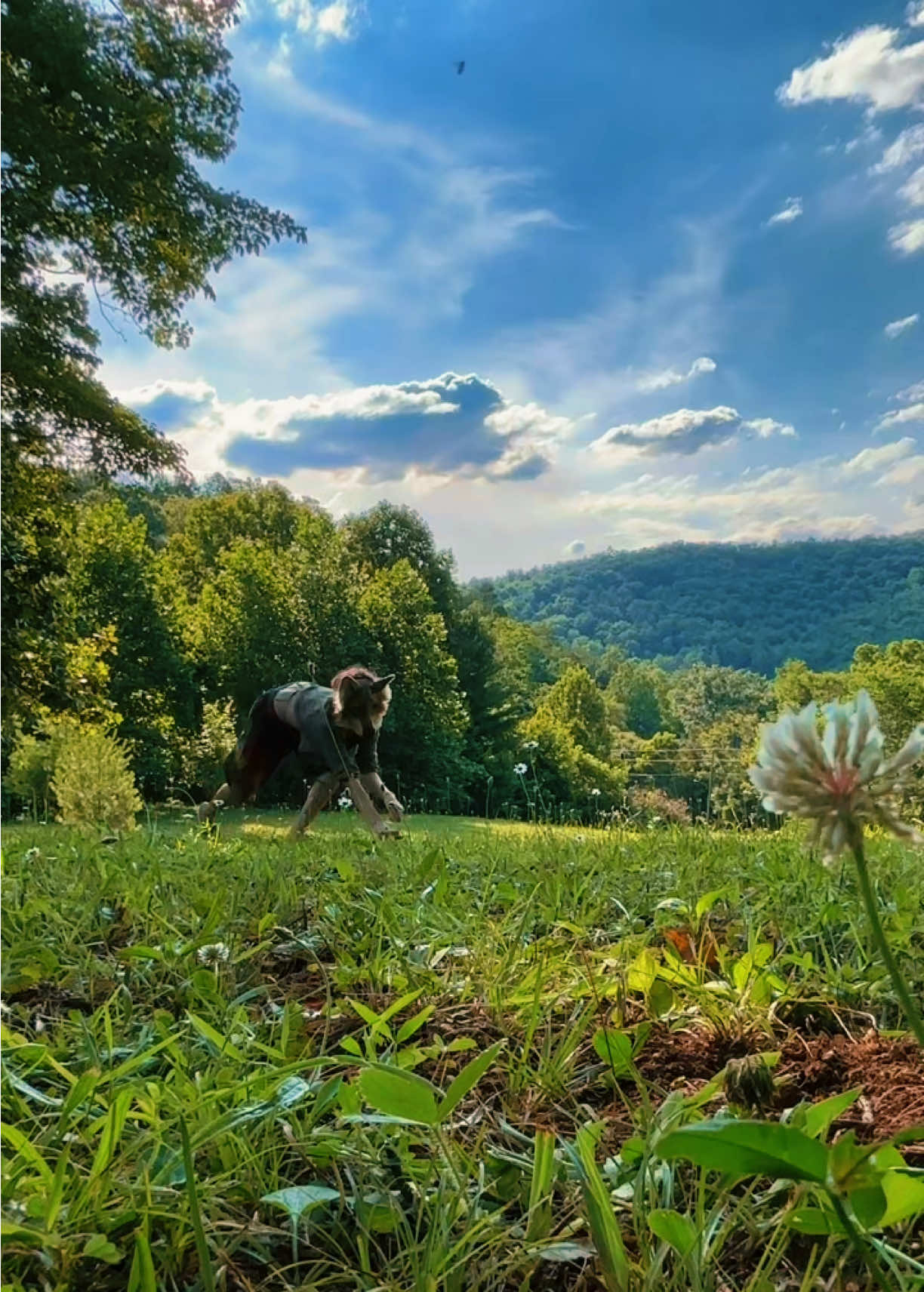 @🦴🌱~Dakota~🌱🦴