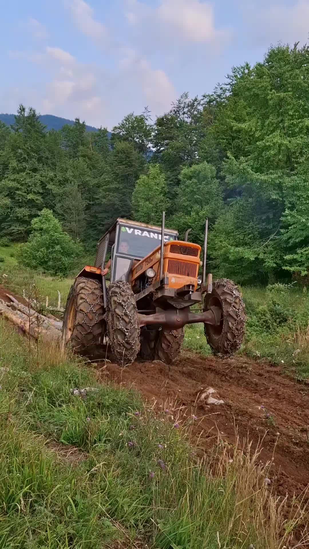 @🌲VRANIĆ🌲