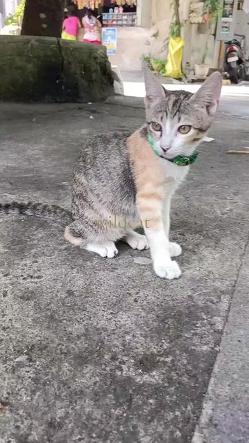 @๐จ๐๐๐๐๐๐ฅ๐ณ๏ธ๐๐ต๐ญ011