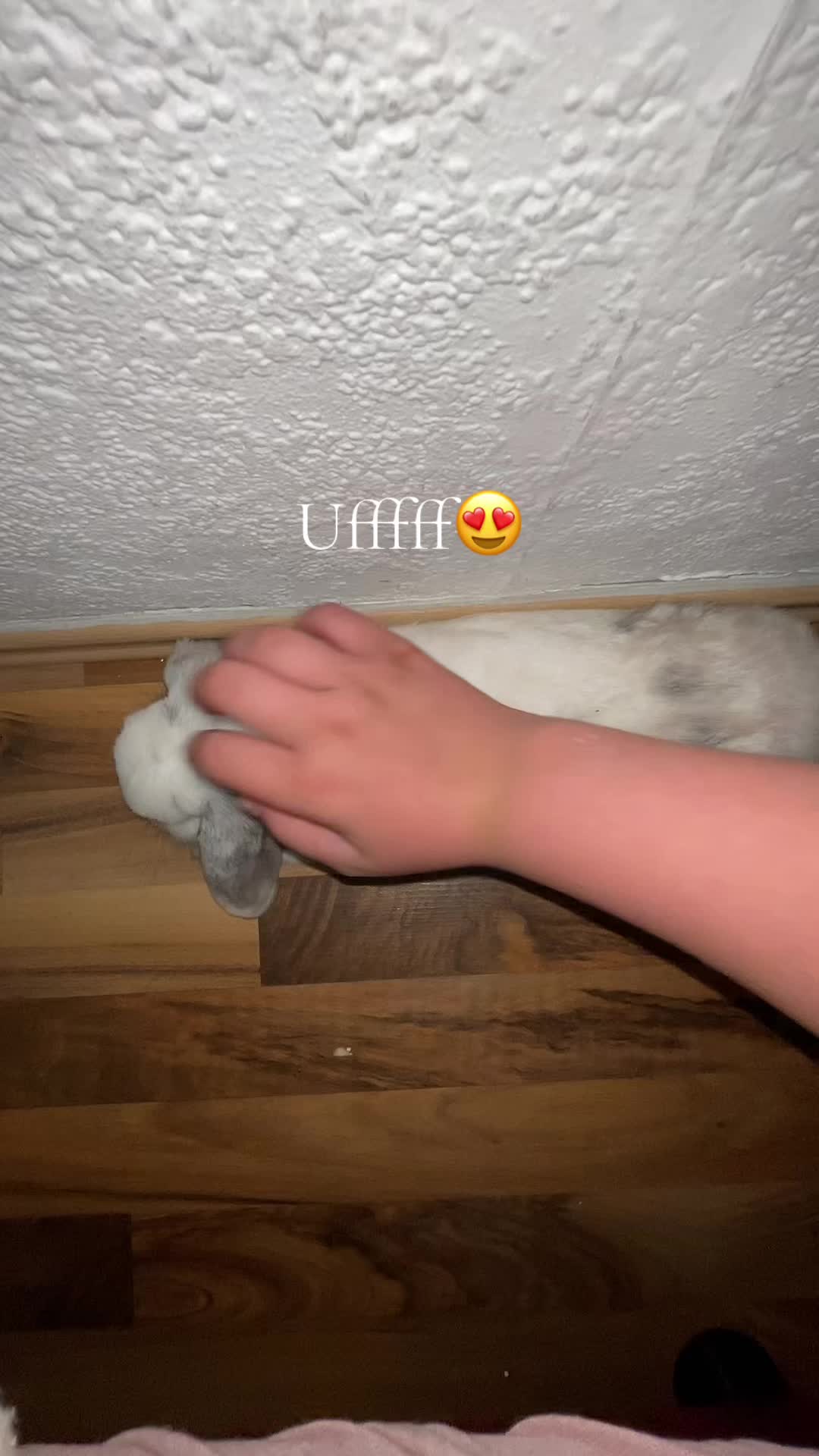 @cahit_069