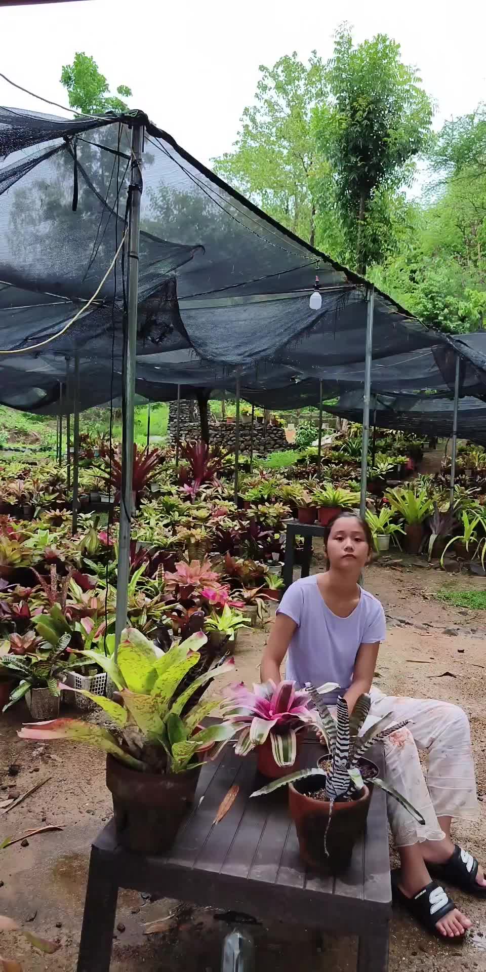 @Tindahan ni My