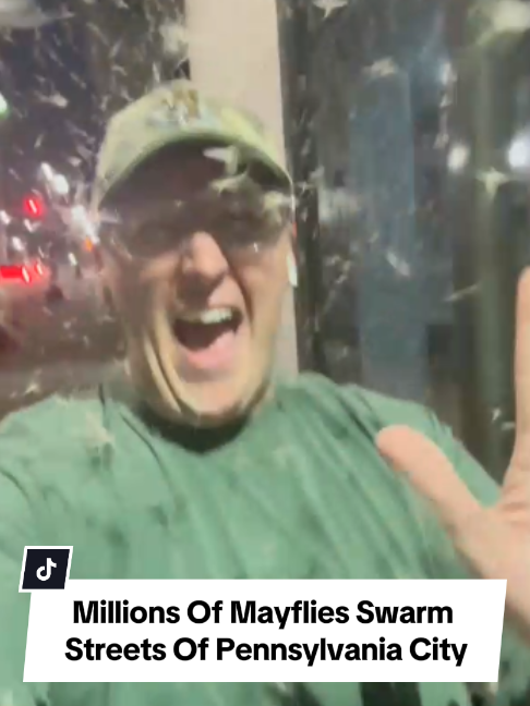 @Inside Edition