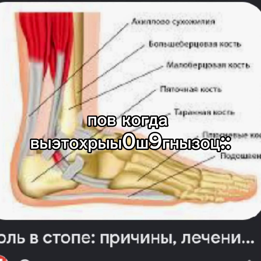@Шарф ☮️.