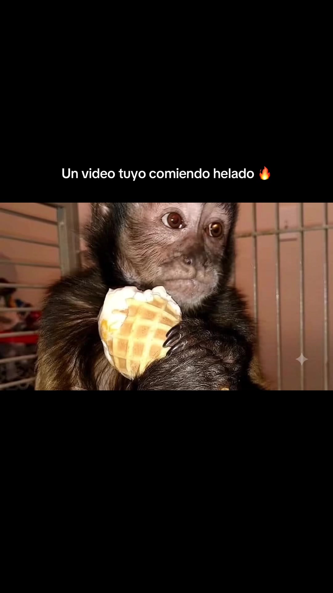 @RabPesito 🔥