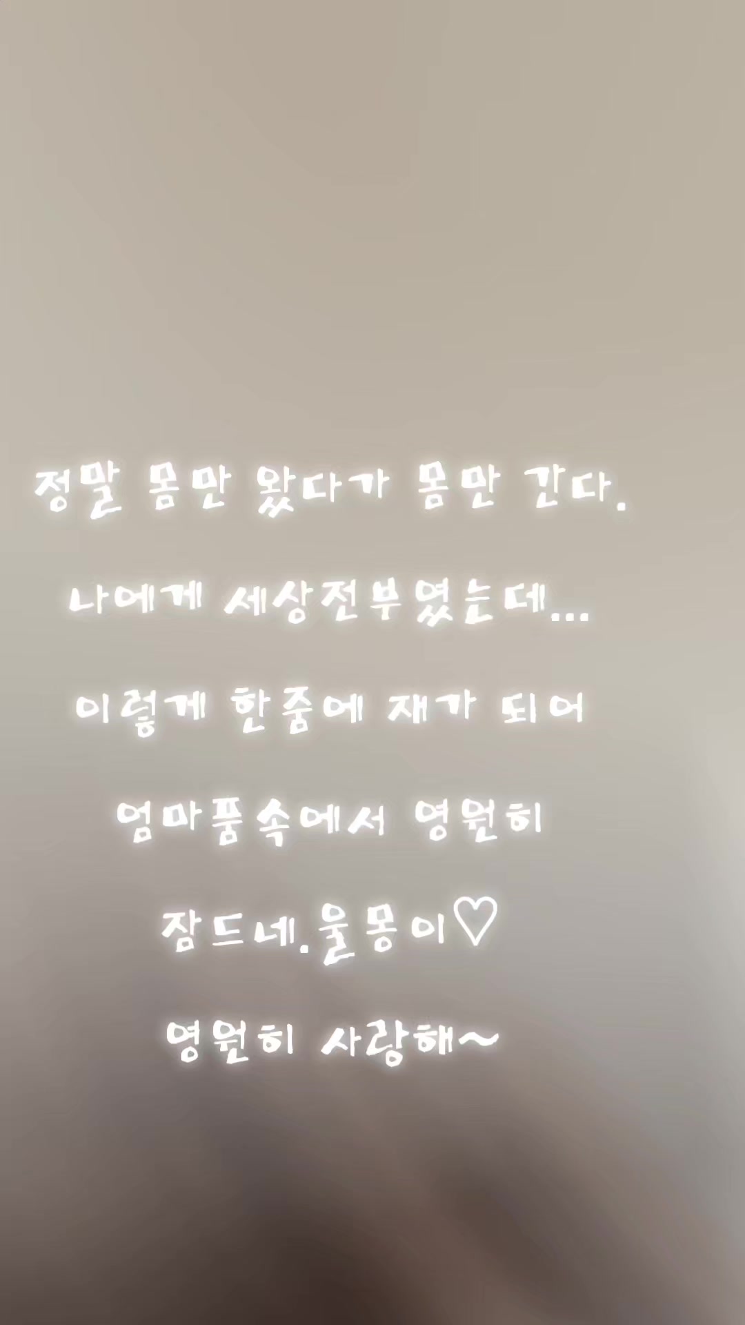 @몽이쒸네~푸들