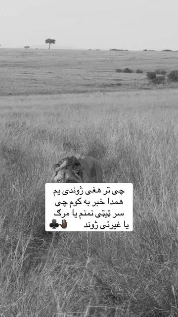 @🥷🏿کــــپــــچــــه🥷🏿