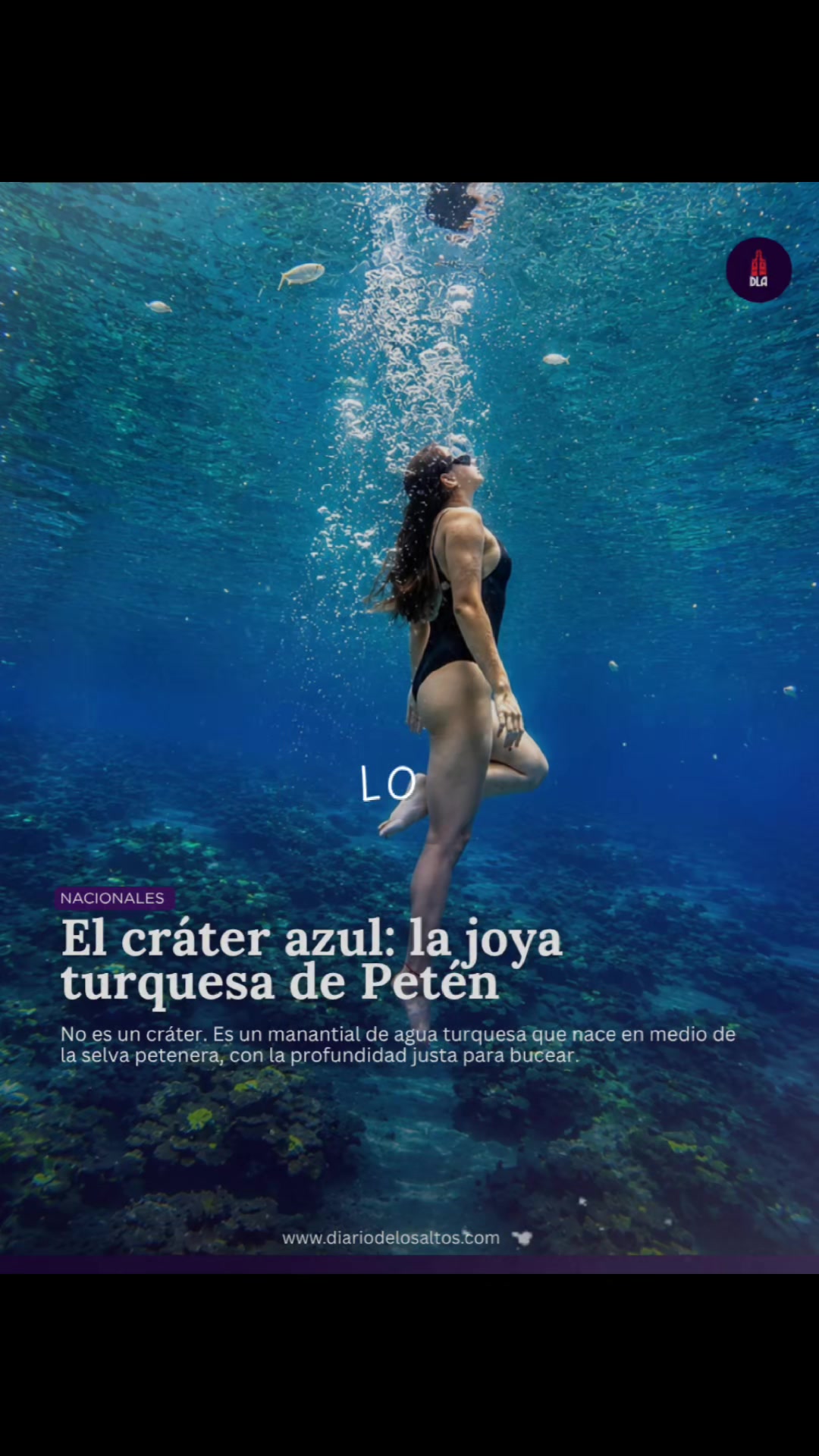 @Diario de Los Altos