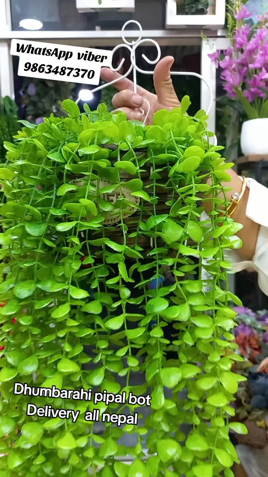 @Flora_p0int-dhumbarahi