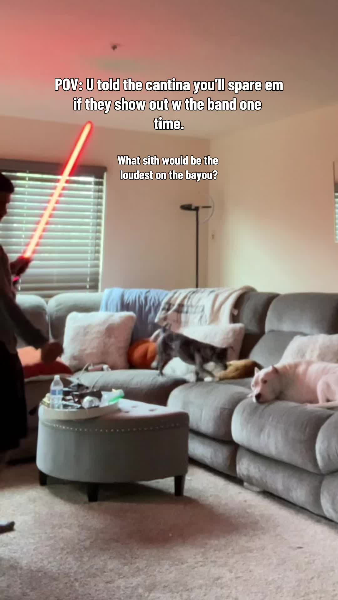 @binoskywalker66