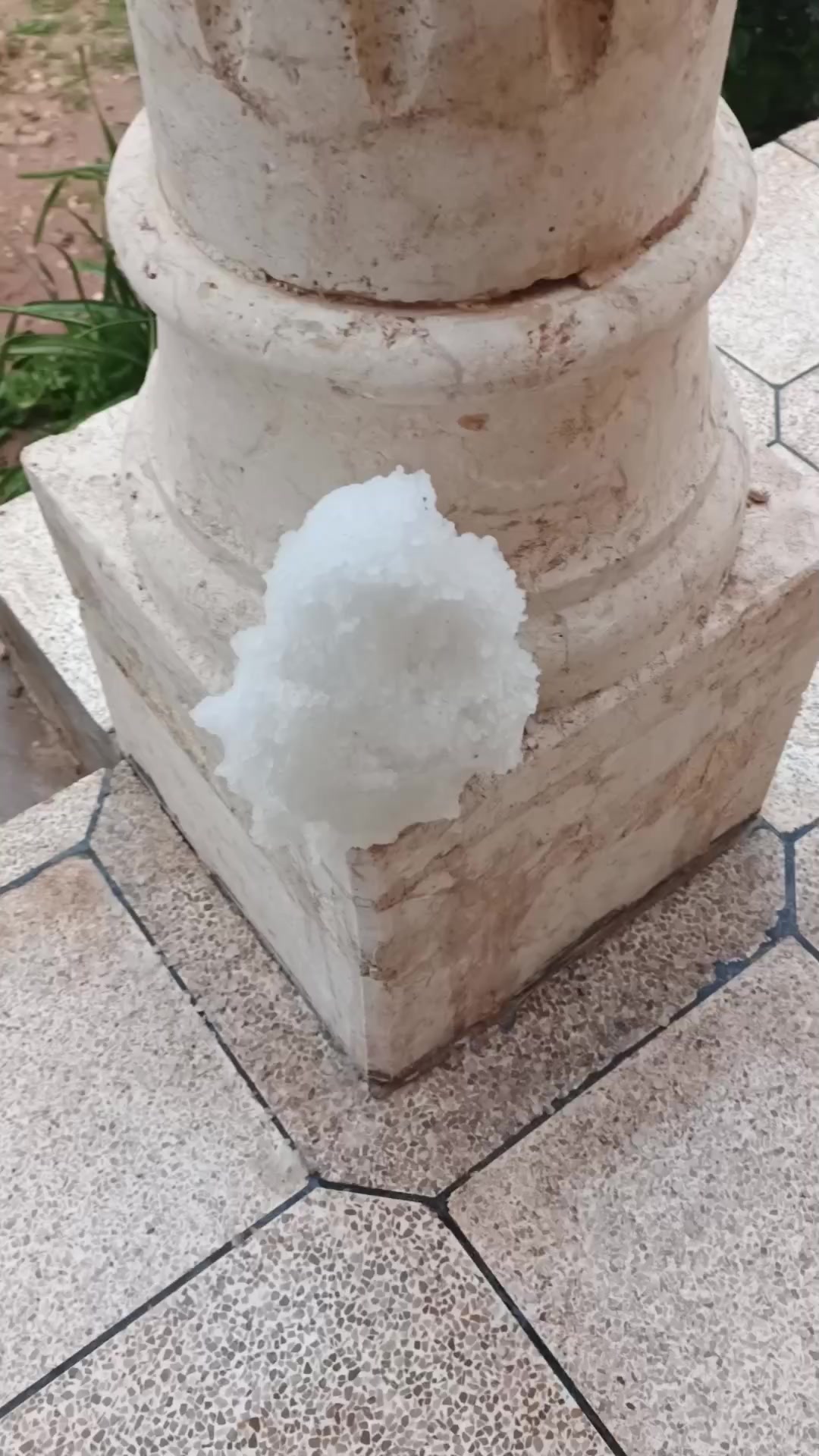 @صبحي الشيخ بحبح