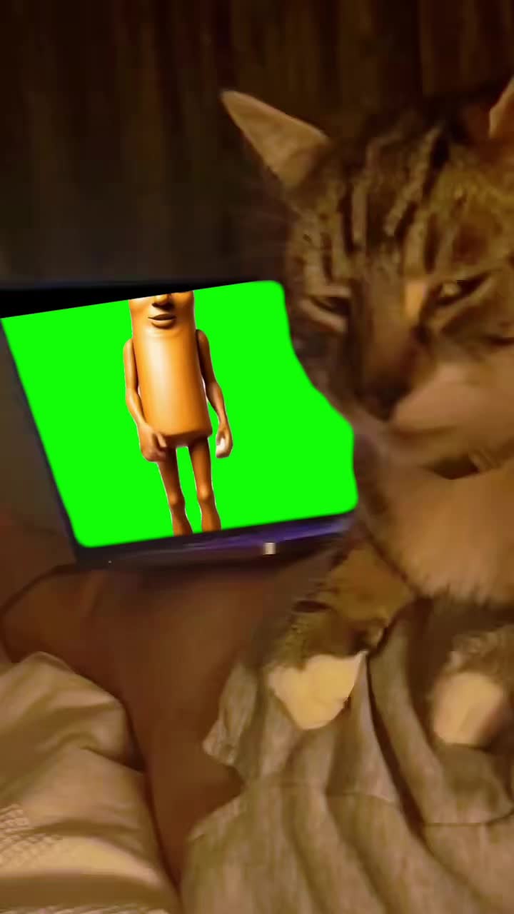 @Green Screen Memes
