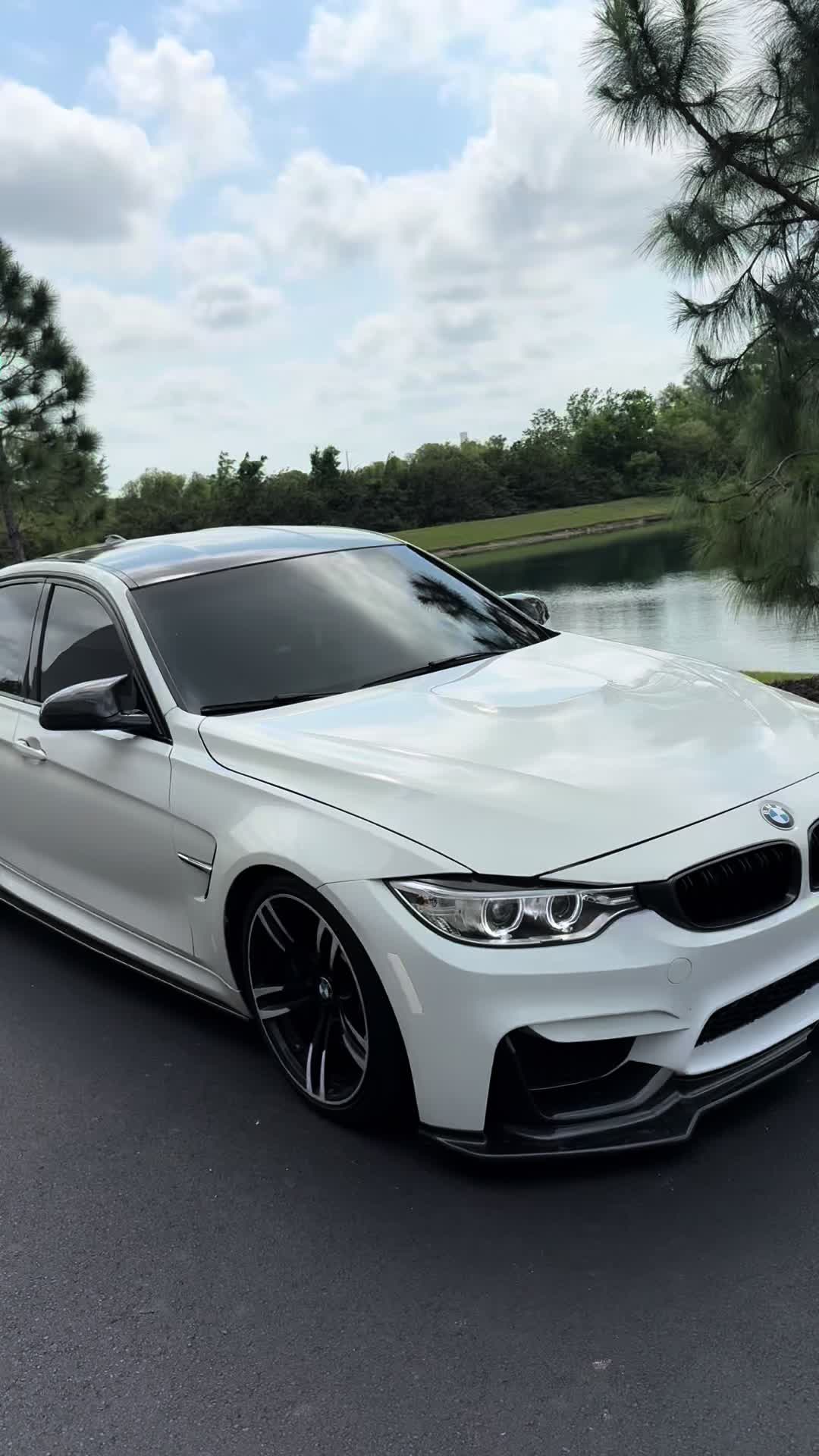 @f80andy_