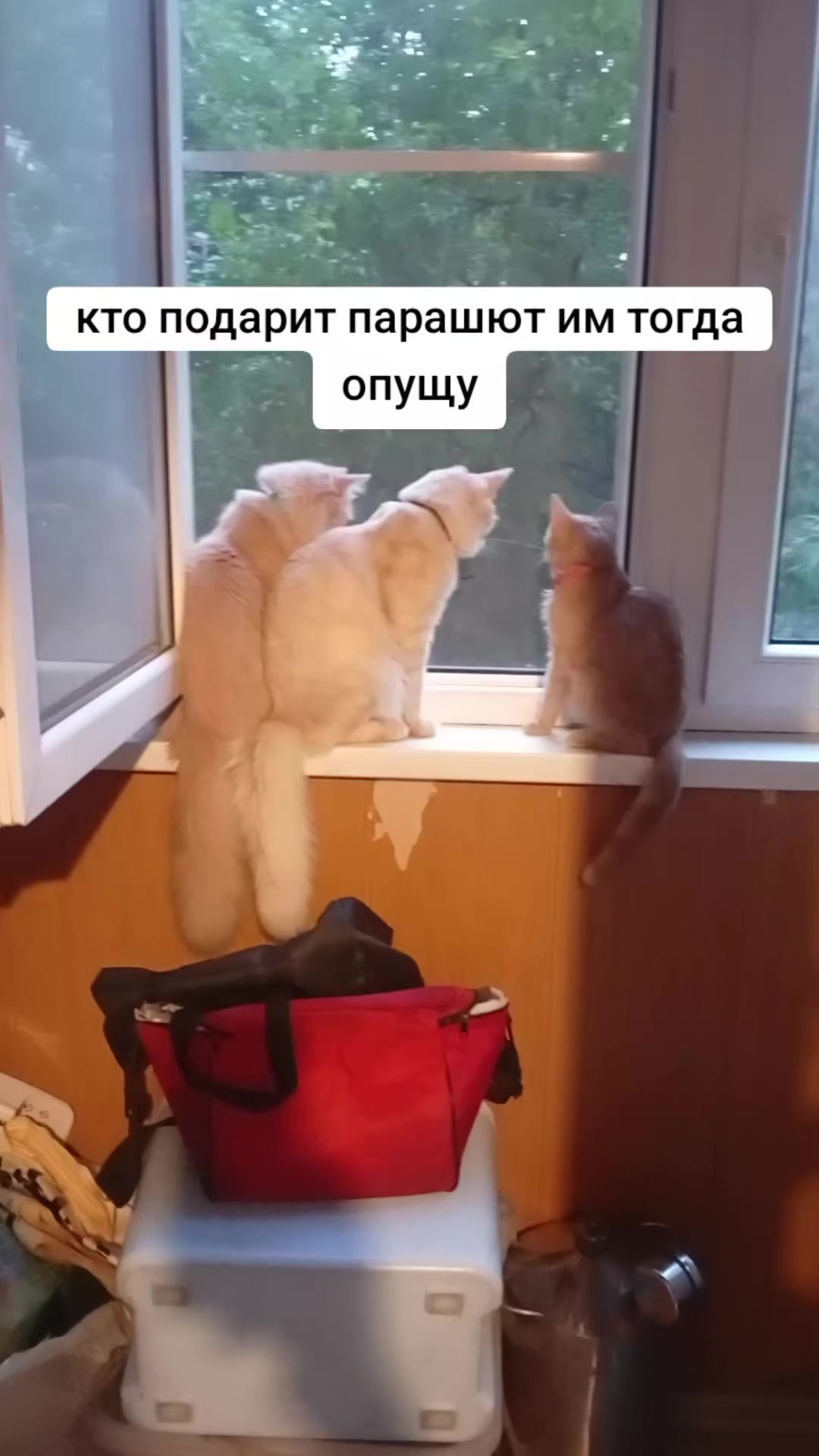 @антон азуевский