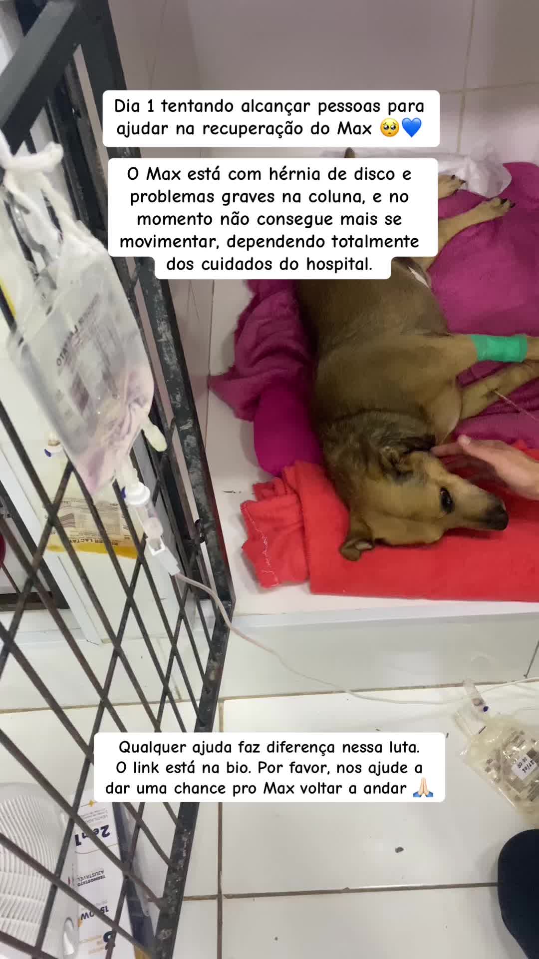 @Ajude o Max! 💙🐾