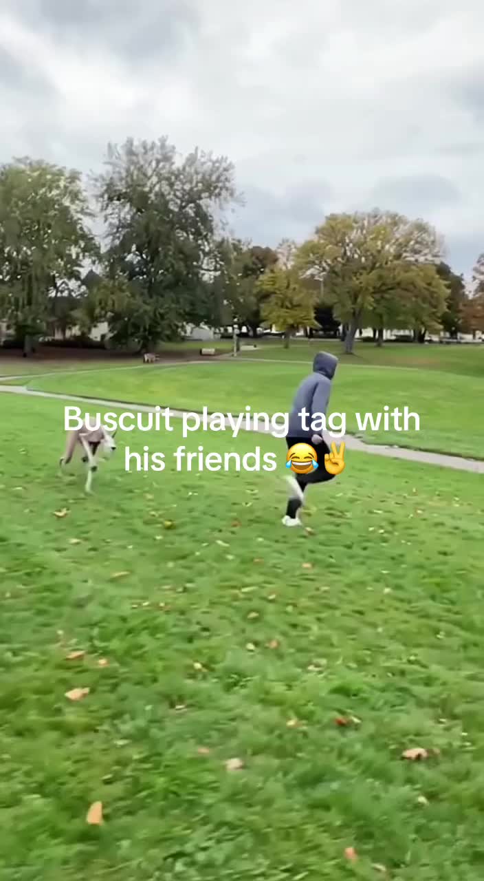 @Zisc