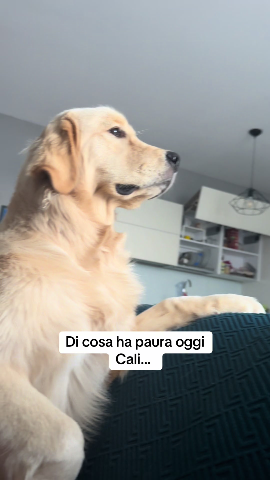 @Raffa&Cali
