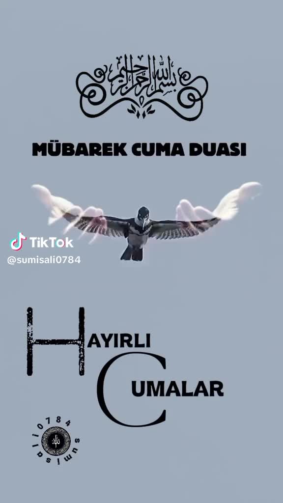 @VELİ ÇOÇA