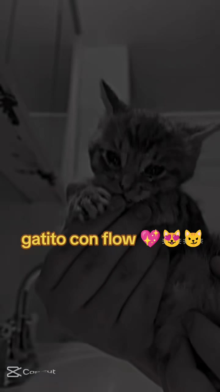@Soy Nahimi🧸🩷