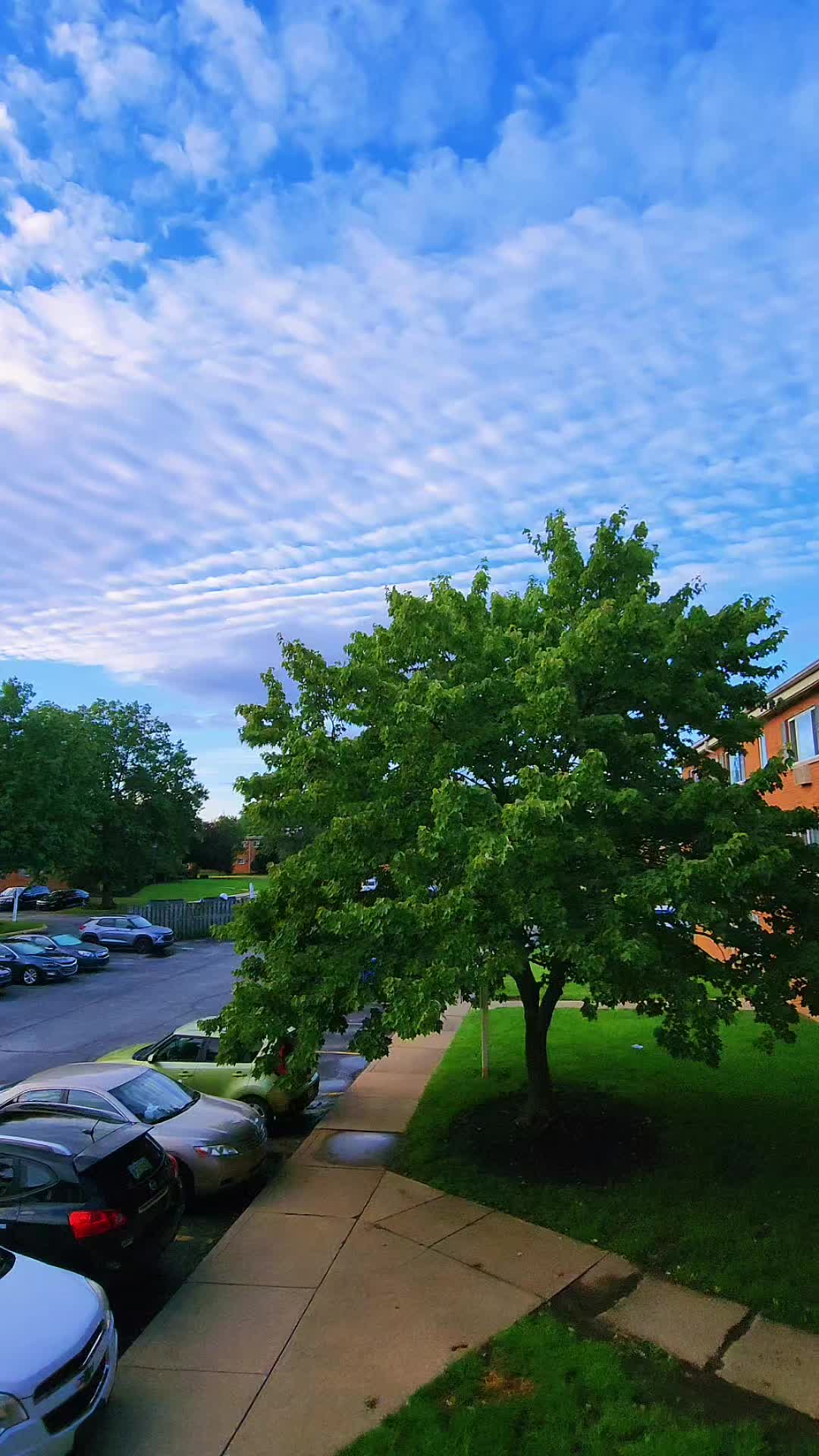 @Hosam Lahoud