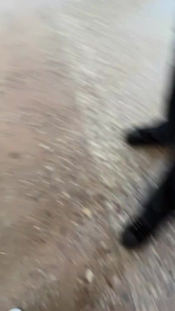 @Зая из рая