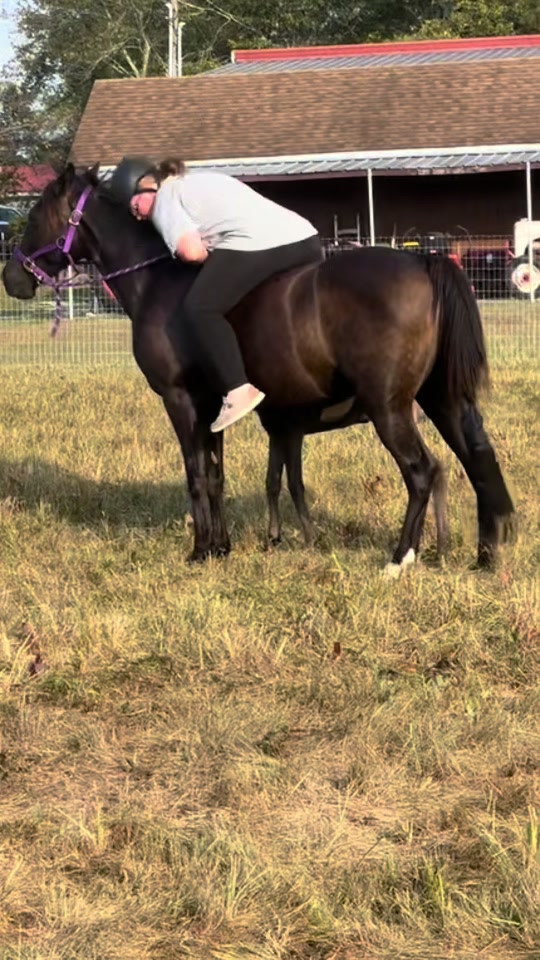 @EightyDollarStables