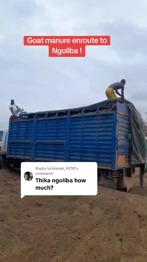 @Lamech Mkulima Mdogo