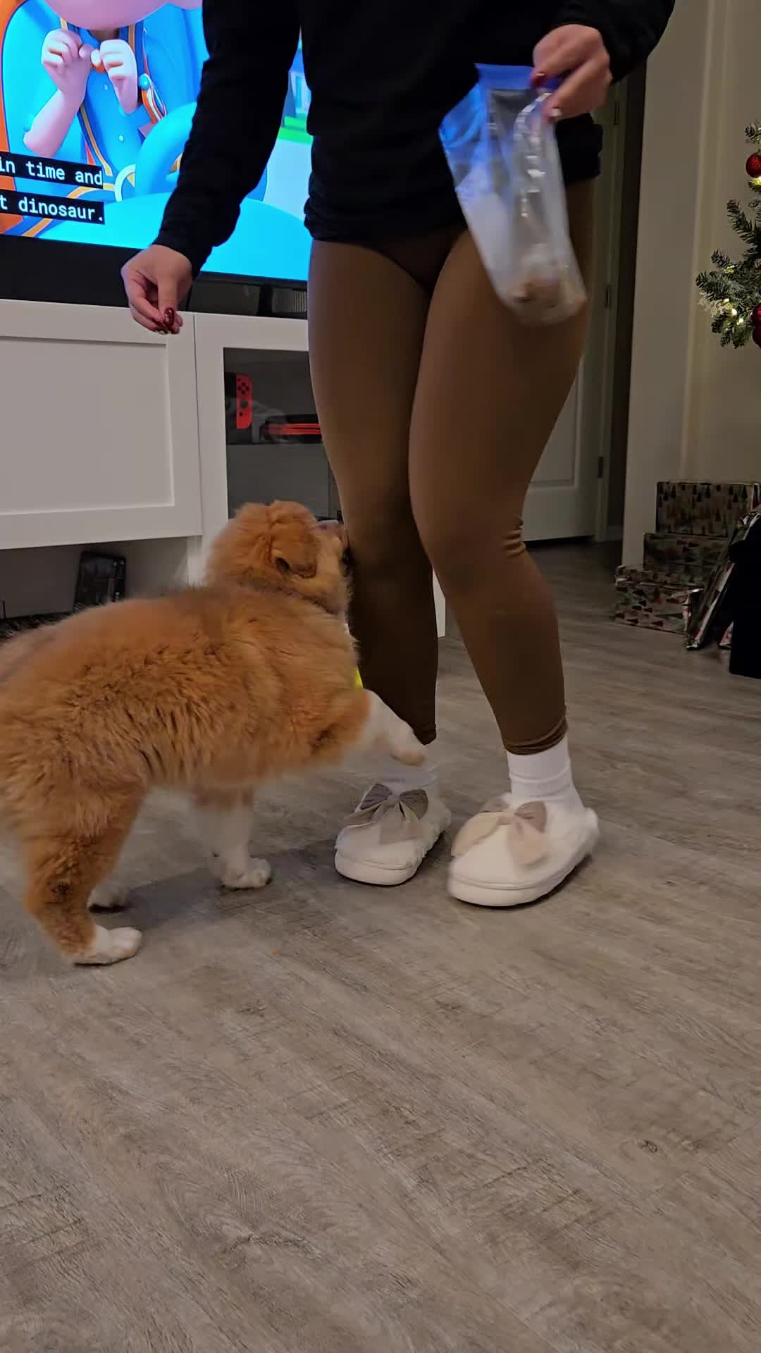 @fabbyulous