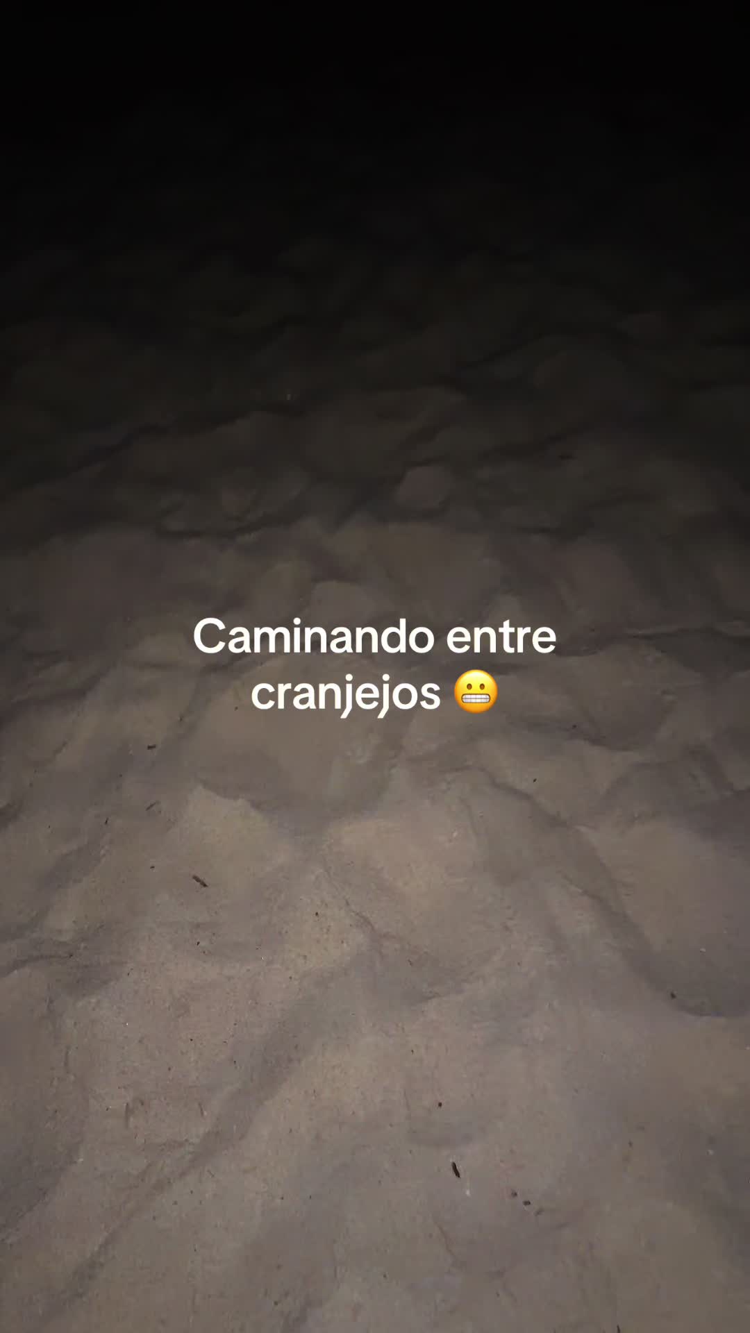 @Chicago&rsquo;s Tacos