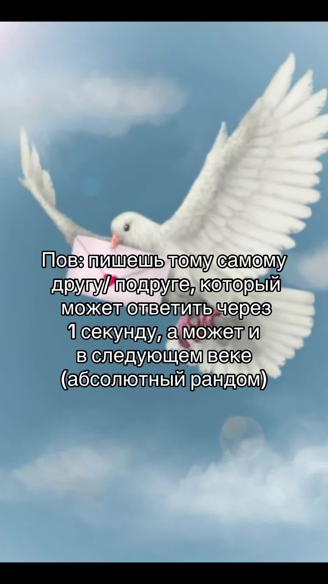 @Milwook🪷