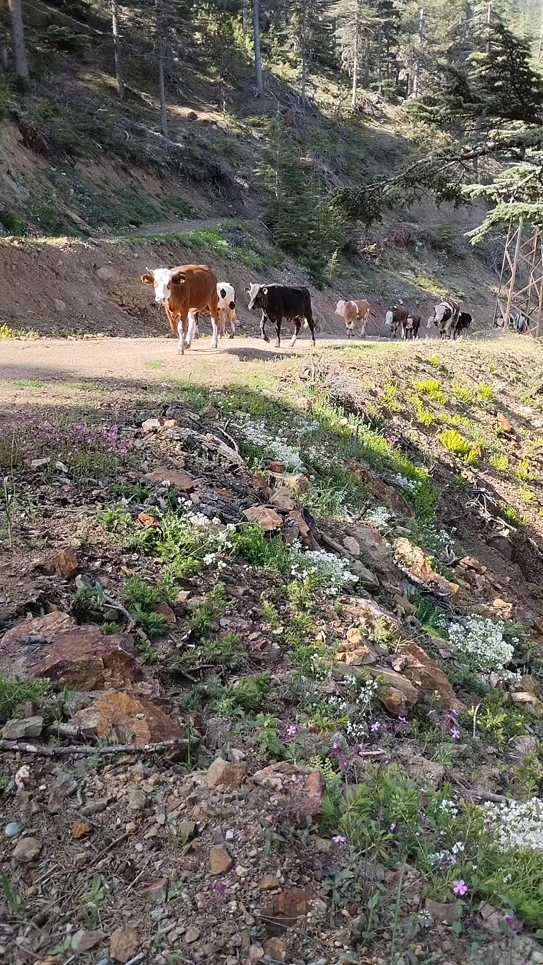 @Mustafa Erdinç 0101