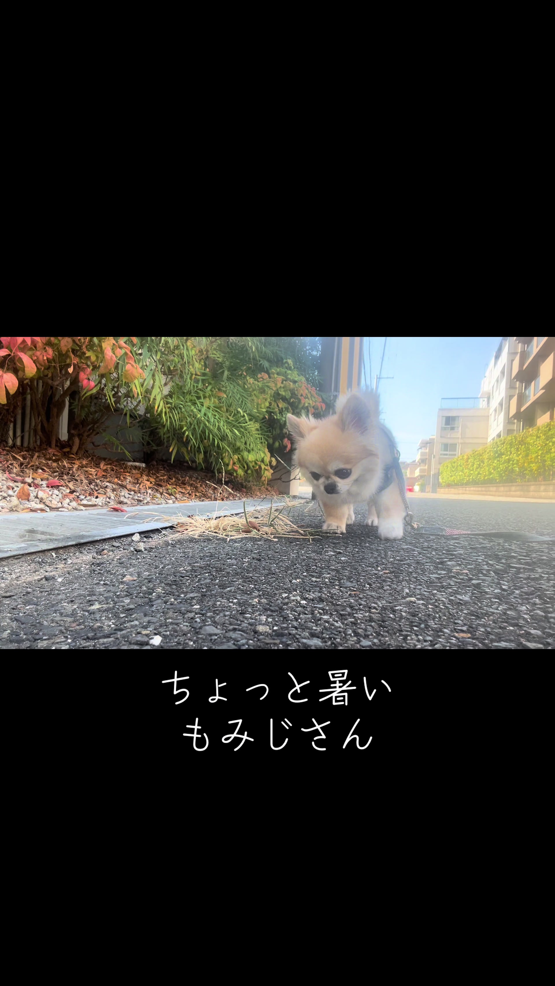 @もみぞう
