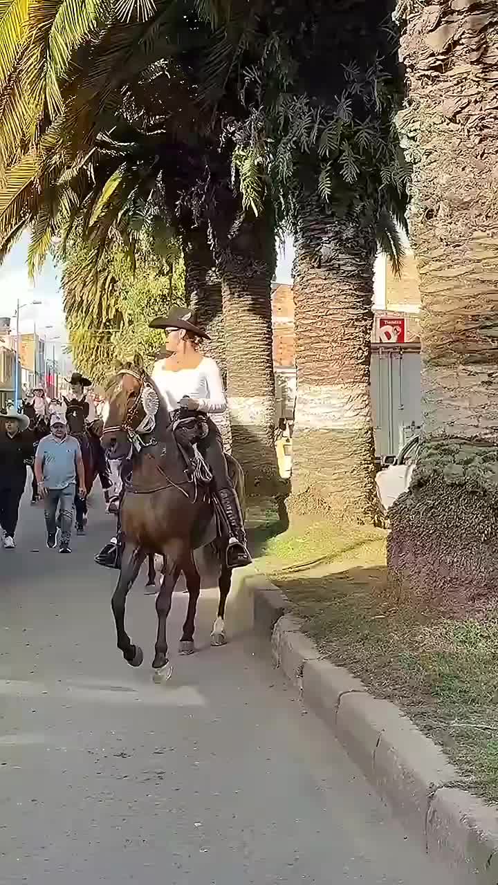 @Só Modão