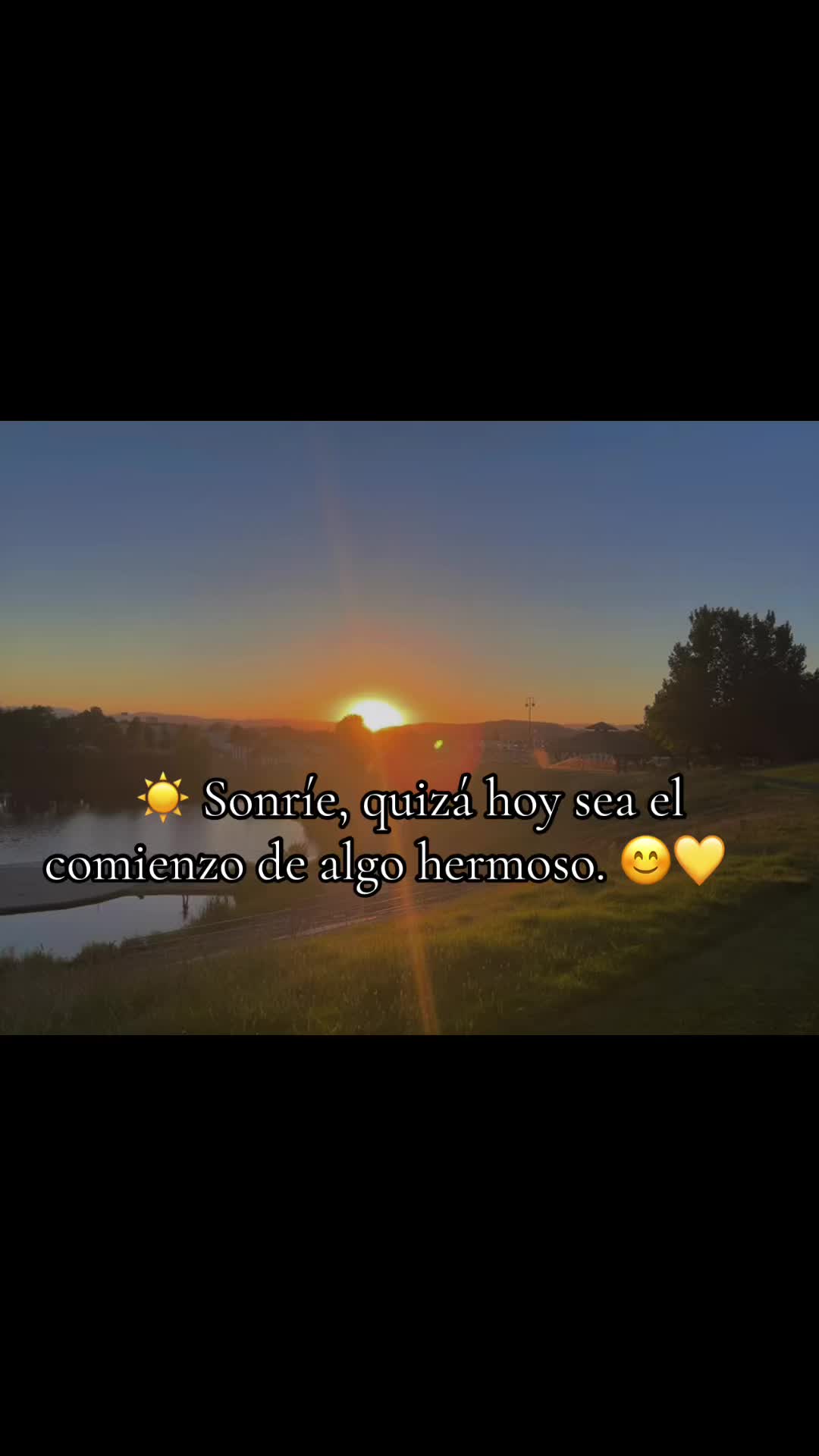 @flaco_S17