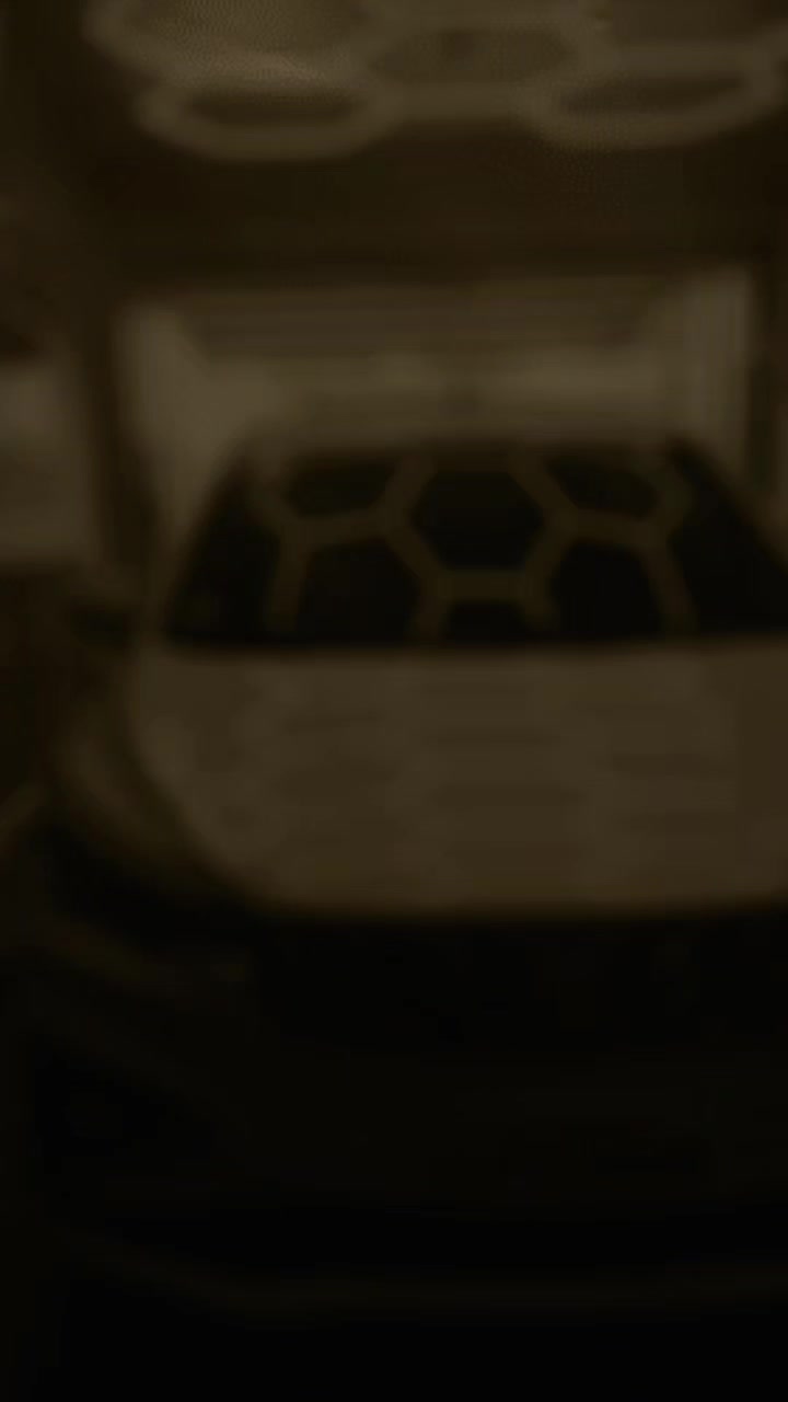 @NGL Car Accessories