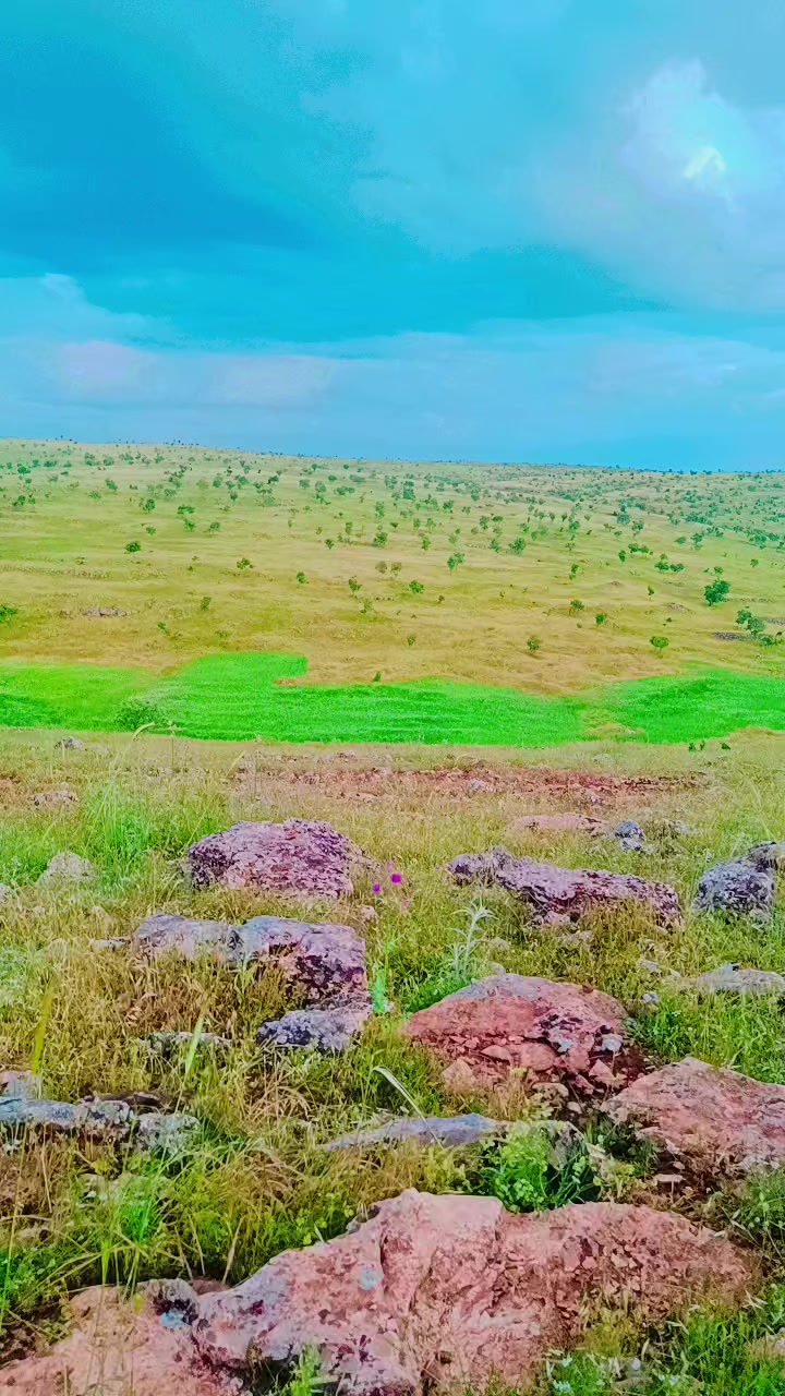 @Abdurrahim g&uuml;l
