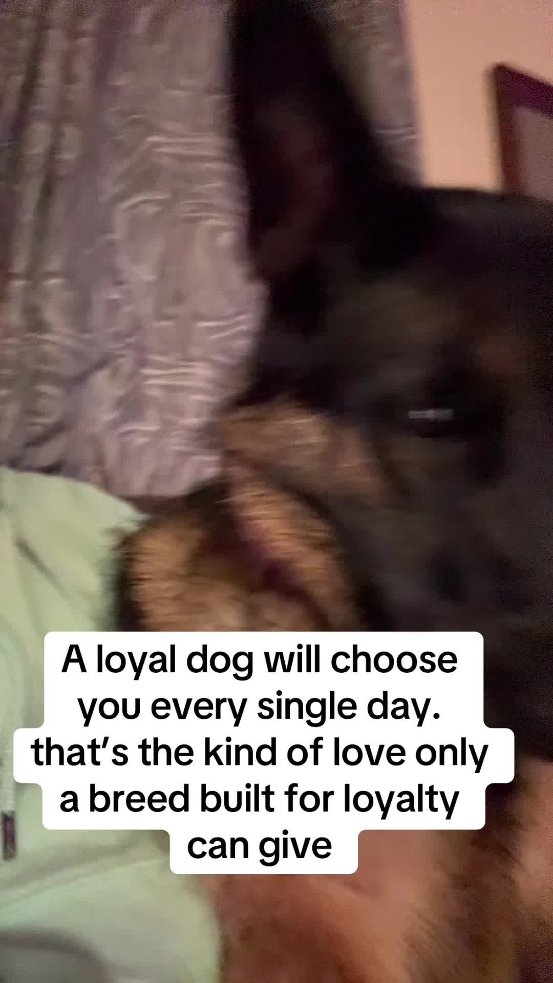 @laurenad211