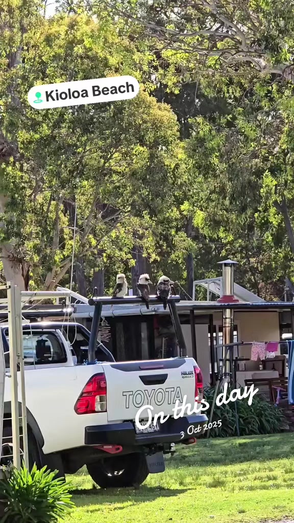 @misha_Australia 🇦🇺