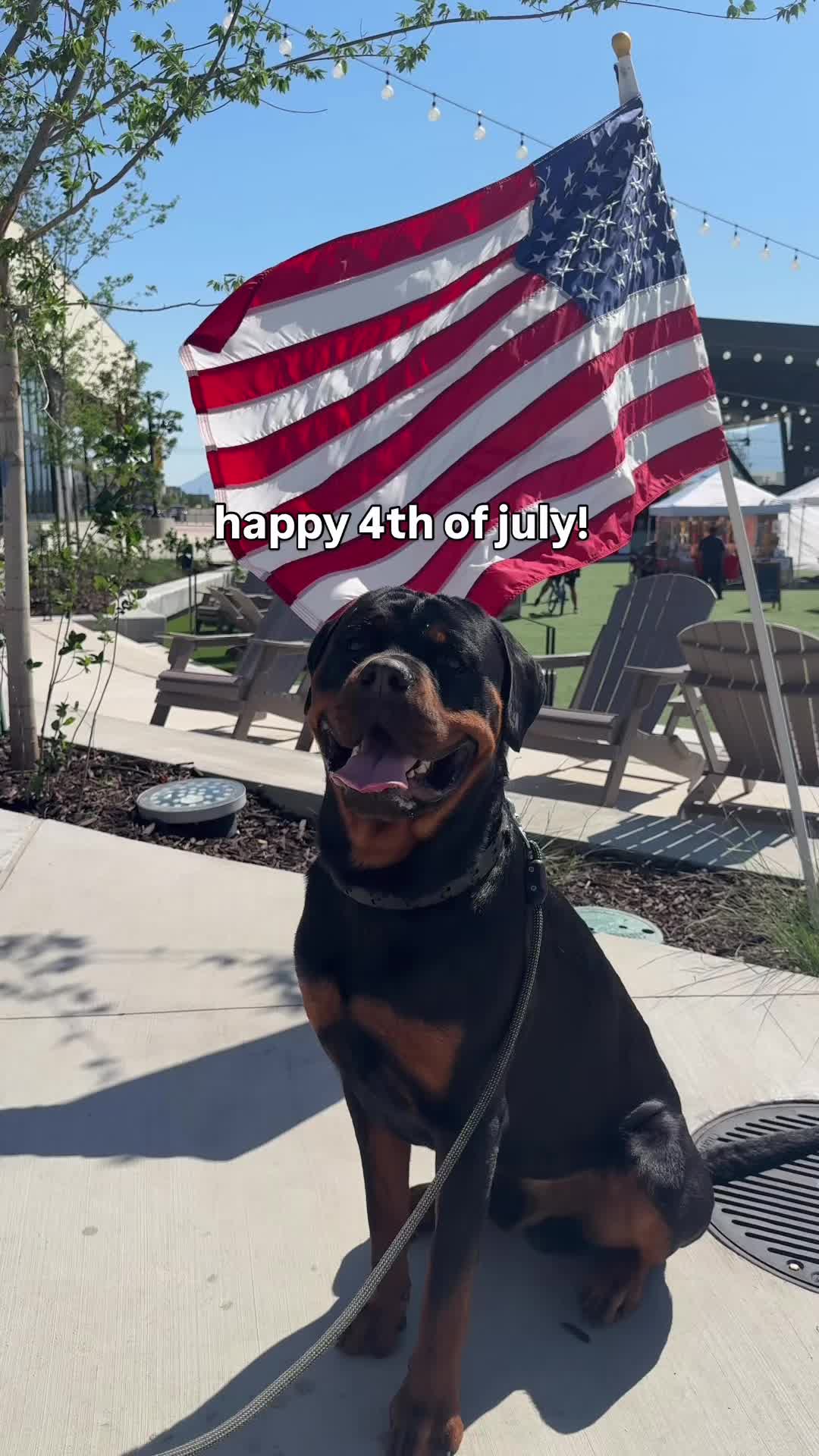@Rex the Rottweiler